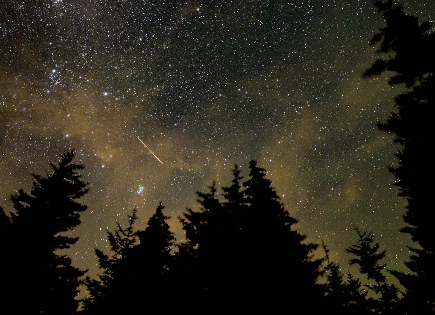 A meteor streaks across the sky during the annual Perseid meteor shower. <em>Credit: Bill Ingalls/NASA</em>
