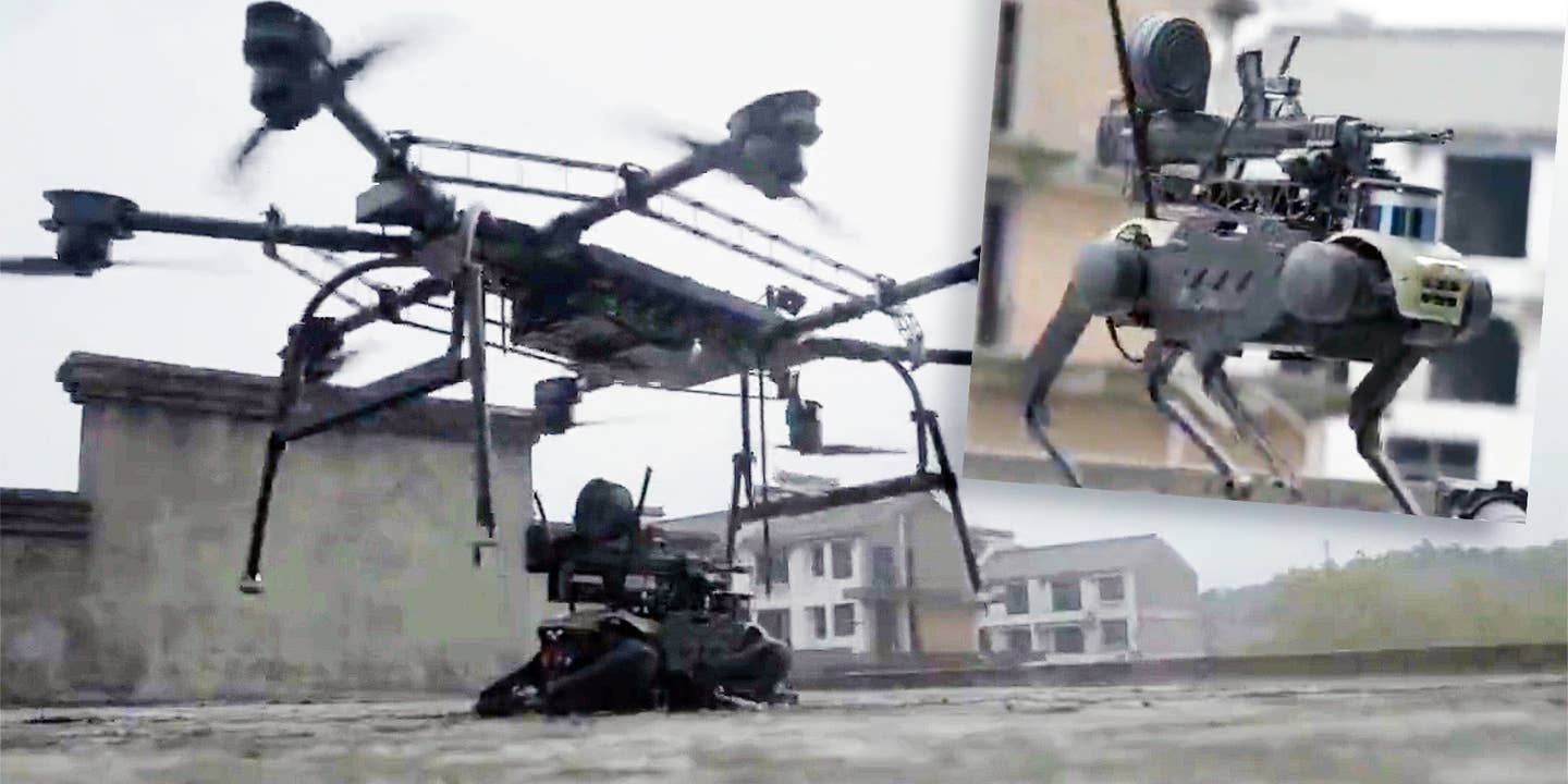 Chinese drone dog roof