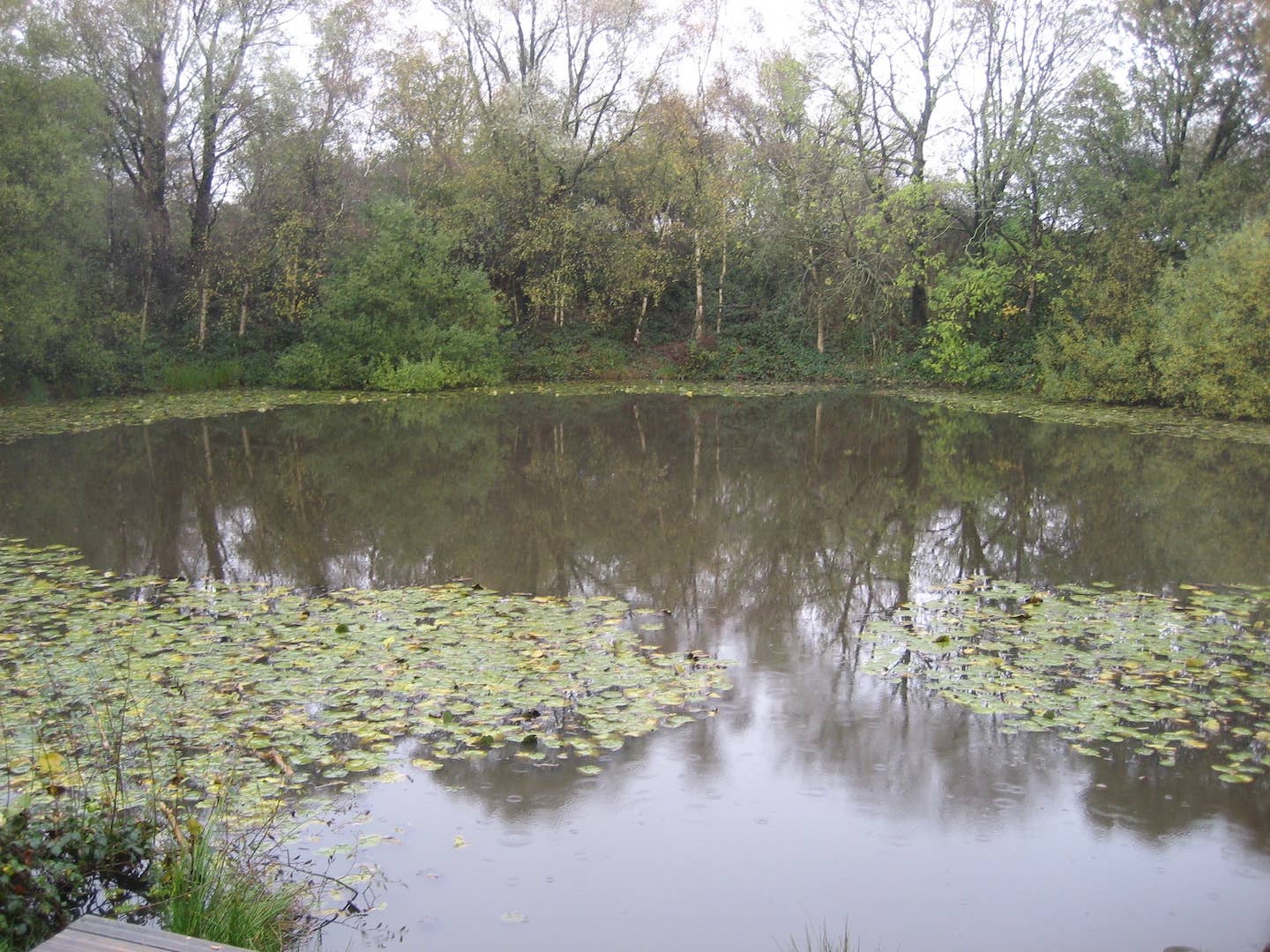 Spanbroekmolen Mine Crater Memorial — The Pool of Peace, also known as "Lone Tree Crater." <em>MisterBee1966/Wikimedia Commons.</em>