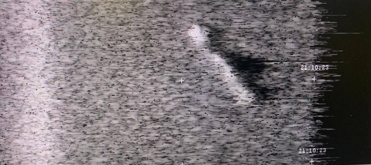Sonar image of the 'stricken' submarine <em>Pisagua</em> captured during SIFOREX 2023. <em>Peruvian Navy</em>