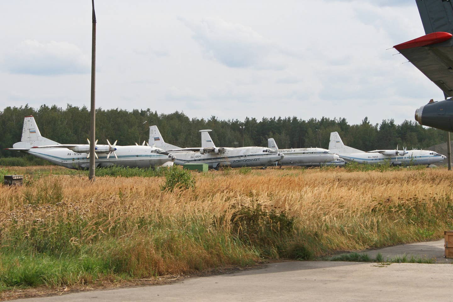 An assortment of An-12 and Il-22 transport and special mission aircraft parked on the southside ramp at the airbase of Chkalovsky, home of the 8th Aviation Division of Special Purpose, in 2013. <em>Alan Wilson/Wikimedia Commons</em>