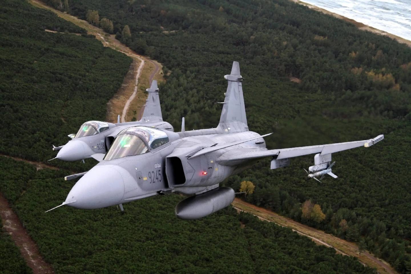 A pair of Czech Air Force JAS 39C Gripen fighter jets.&nbsp;<em>Jan Kouba, Ministry of Defense and Armed Forces of the Czech Republic</em>