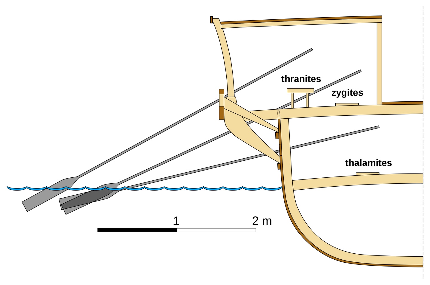 Cross-section of a&nbsp;trireme, an ancient Greek combat galley, following the last archaeological discoveries about this type of ship. Eric Gaba via Wikimedia Commons, <em>CC-BY-SA-4.0</em>