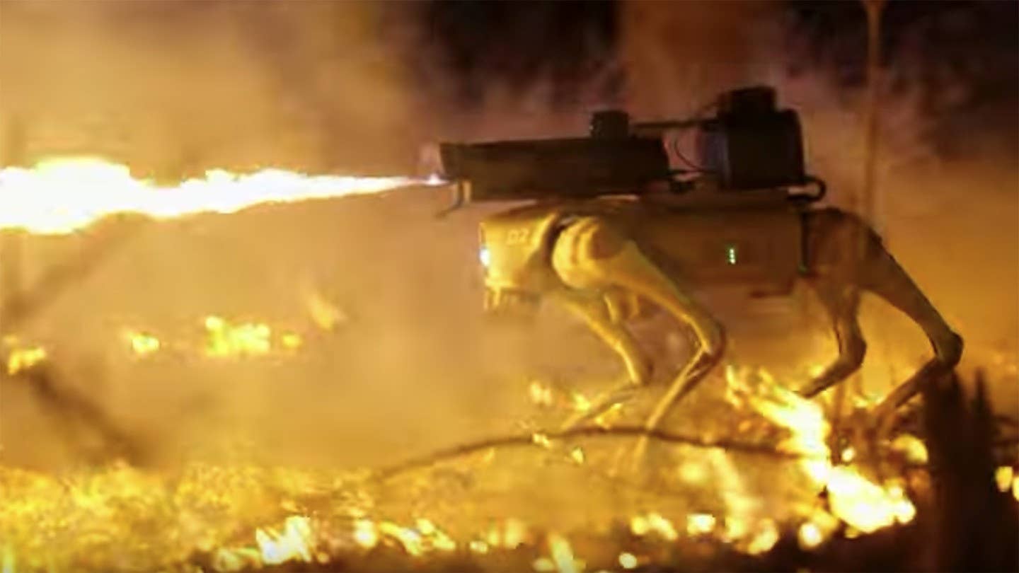 Terminator is a flame throwing robodog.