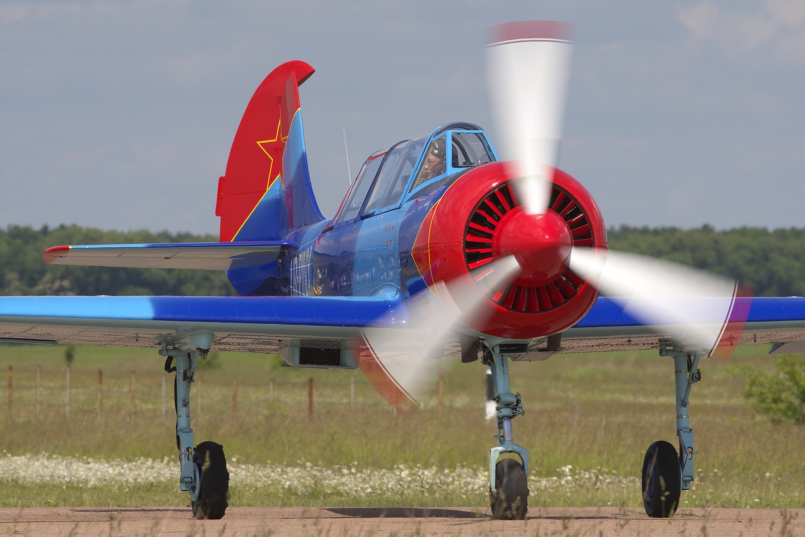 A Ukrainian-operated Yak-52 in Zhytomyr prior to the war with Russia. <em>Oleg V. Belyakov/AirTeamImages/Wikimedia Commons</em>