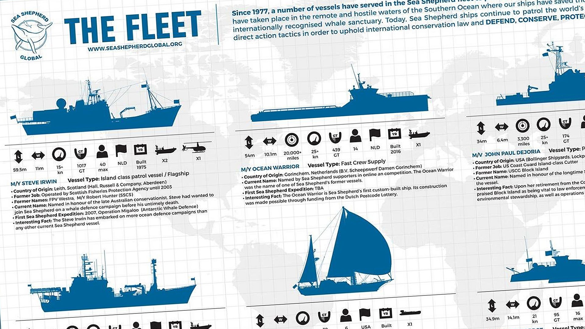 Check Out This Infographic Of Sea Shepherd’s Growing Naval Armada