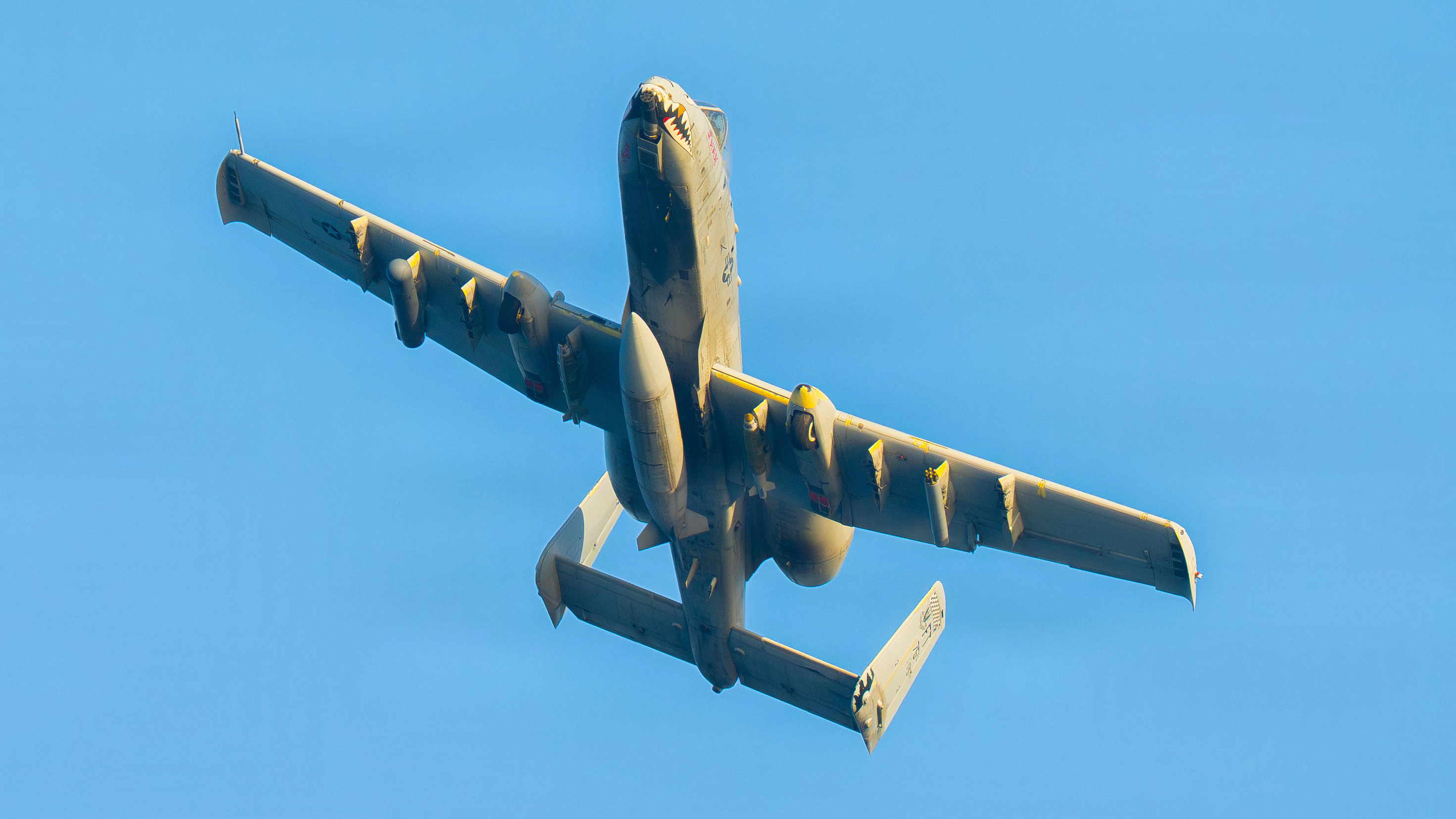 A U.S. Air Force A-10 Thunderbolt II aircraft provides close air support to Independence-variant littoral combat ship USS Santa Barbara (LCS 32) during a training exercise in the Arabian Gulf, Feb. 2, 2026. Santa Barbara is deployed to the U.S. 5th Fleet area of operations to support maritime security and stability in the Middle East. (U.S. Navy photo by Mass Communication Specialist 2nd Class Iain Page)