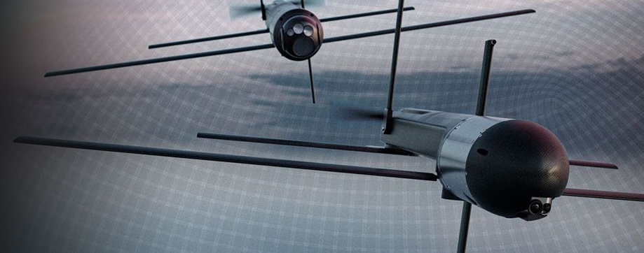 دو فروند Mayhem 10 در تصویر تبلیغاتی شرکت AeroVironment