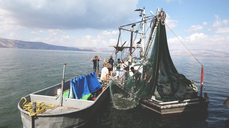 Israeli troops are turning to fishing nets for protection against Hezbollah FPV drones.