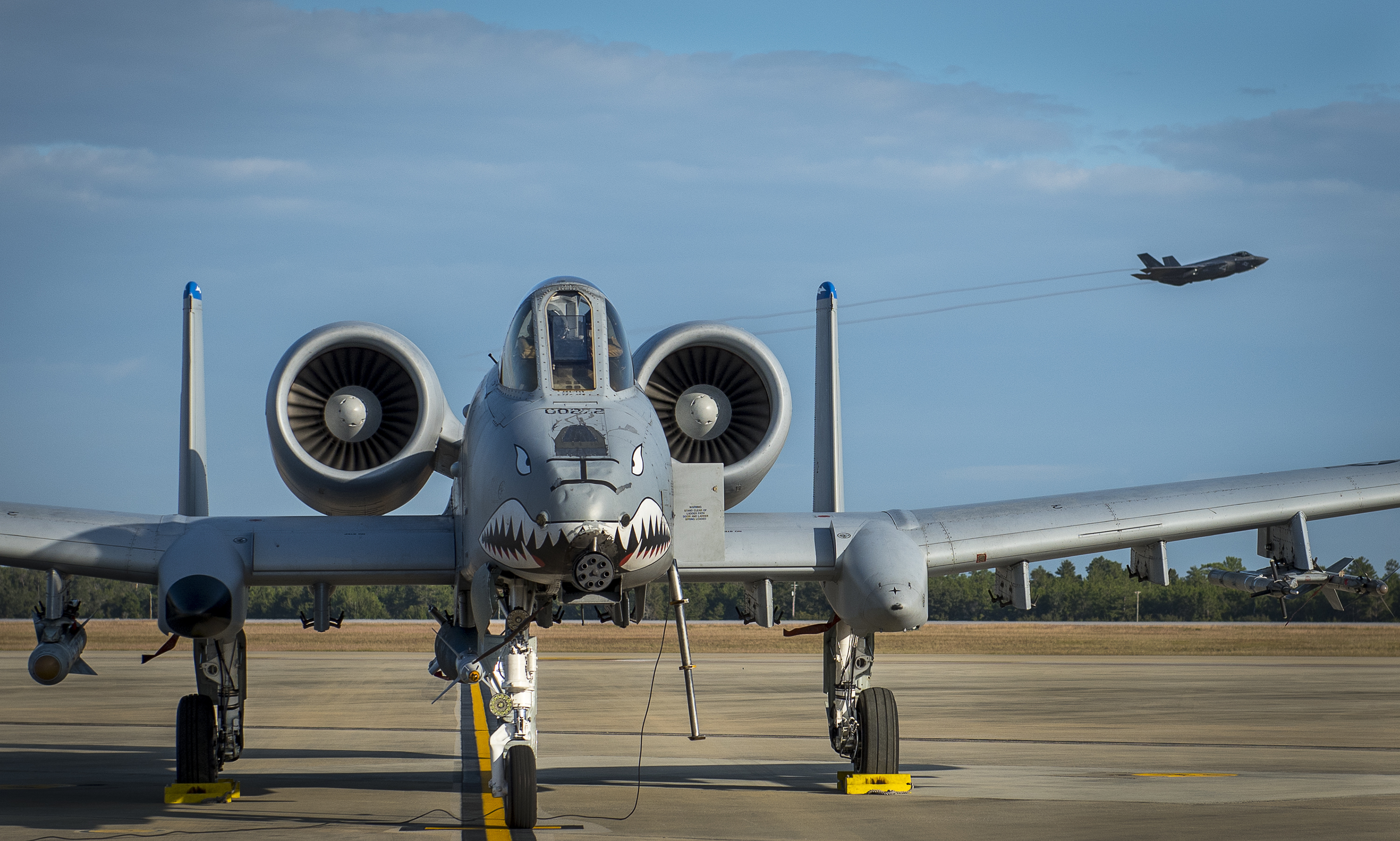 A 33rd Fighter Wing F-35A Lightning II streaks by as a 75th Fighter Squadron A-10 Thunderbolt II undergoes preflight checks prior to a Combat Hammer sortie Nov. 2, at Eglin AFB, Fla. A-10s, F-16s, F-22s and MQ-9s visited the base to participate in the 53rd Wing exercise. The 86th Fighter Weapons Squadron’s Combat Hammer is a weapons system evaluation program for air-to-ground munitions. (U.S. Air Force photo/Samuel King Jr.)