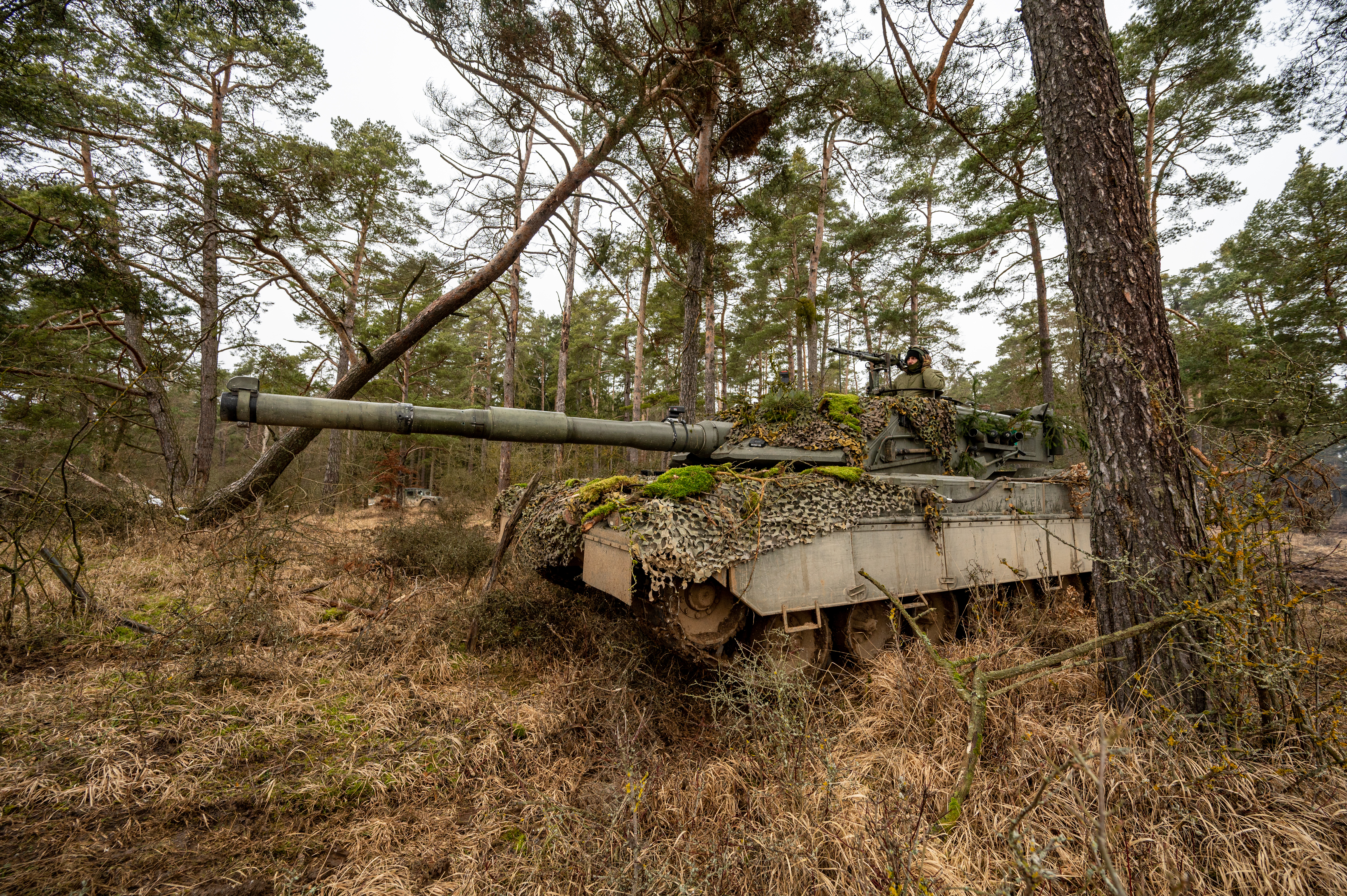 27 January 2022, Bavaria, Hohenfels: An Italian Ariete main battle tank stands in a wooded area during the international military exercise 