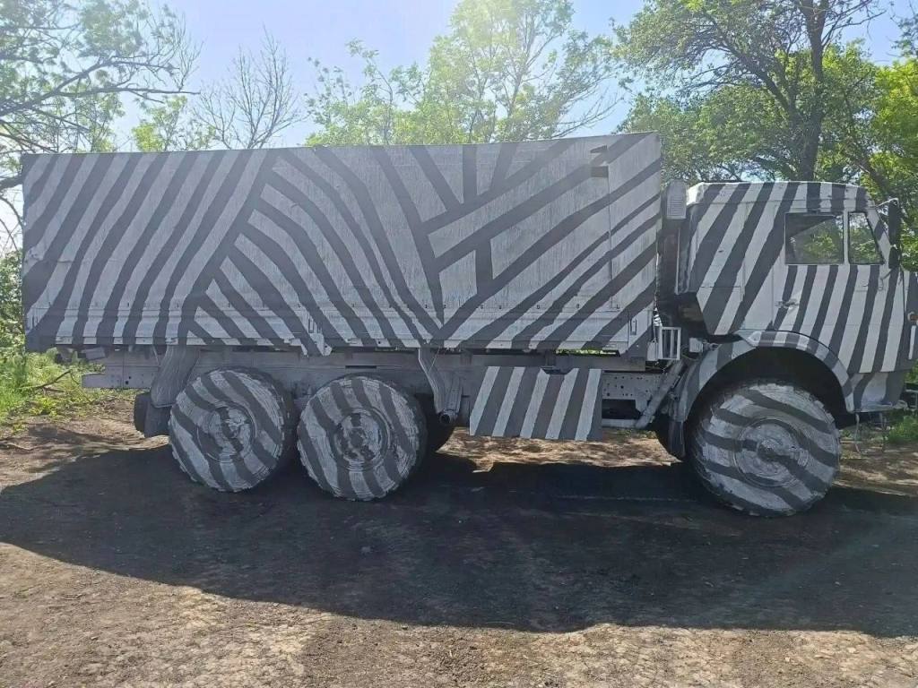 Zebra_6.jpg
