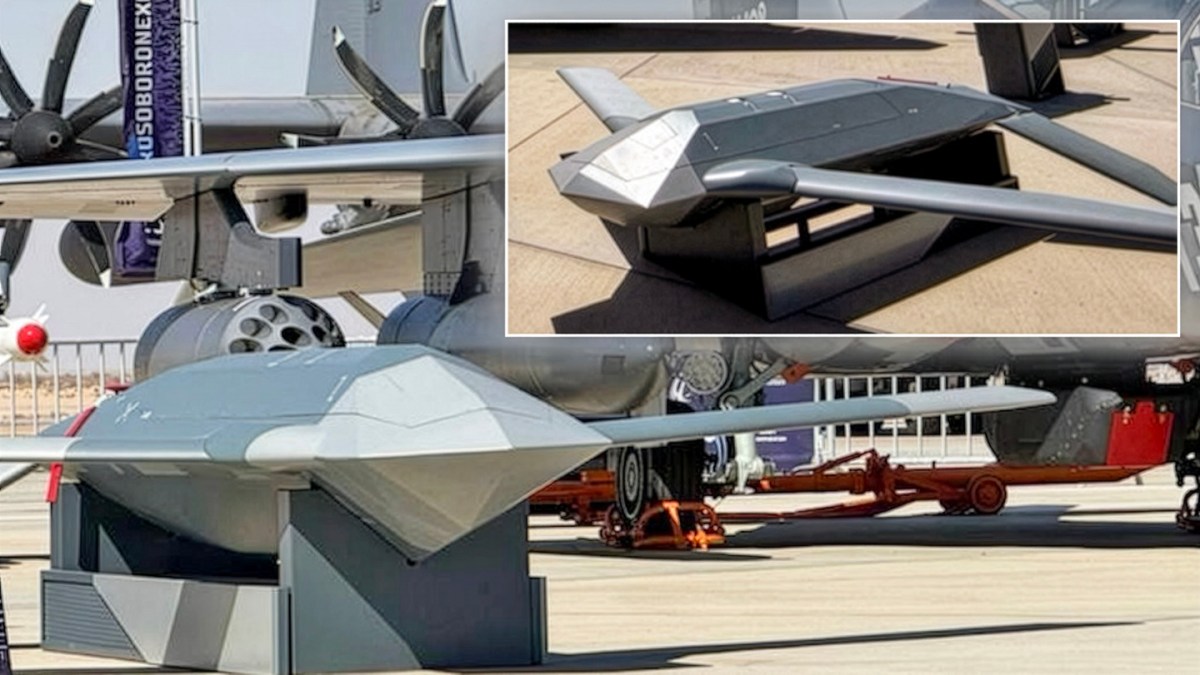 Russia's New Stealthy Lower-Cost Air-Launched Standoff Weapons On Display In Egypt