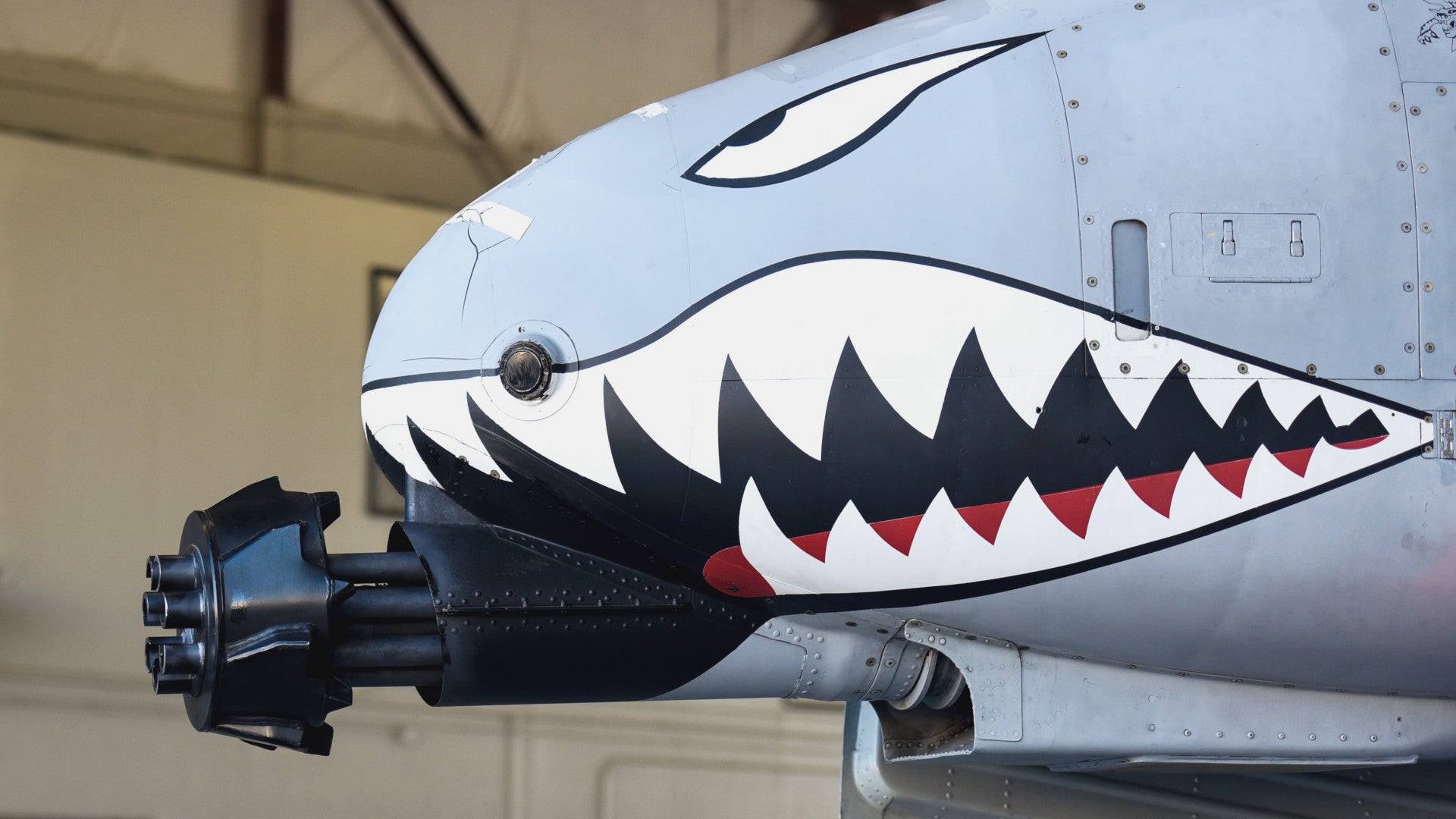 This A-10 Warthog Ground Trainer Still Has A 'Tickler' Muzzle