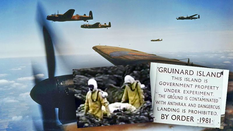 The British Had A Plan To Drop Anthrax Laced Cattle Feed Over Germany In 1942