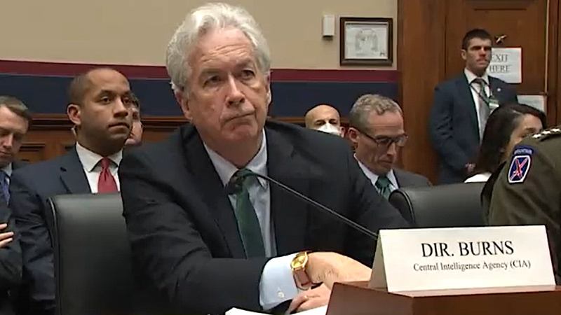 The Next Few Weeks Of Fighting In Ukraine Will Be “Ugly” CIA Director Warns